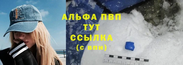 хмурый Инсар