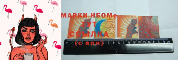 хмурый Инсар