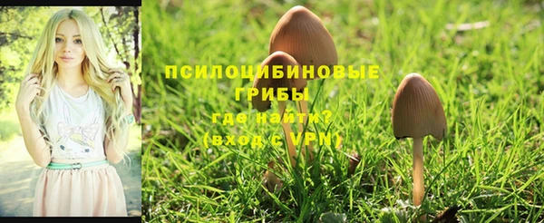 эйфоретик Зеленодольск
