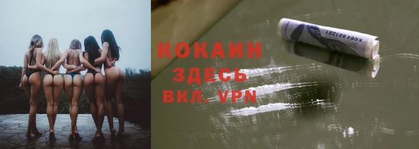 хмурый Инсар
