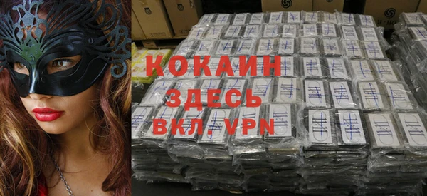 ГАЛЛЮЦИНОГЕННЫЕ ГРИБЫ Инта