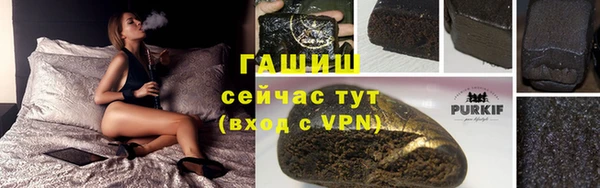 ГАЛЛЮЦИНОГЕННЫЕ ГРИБЫ Инта