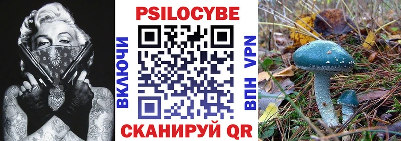 Псилоцибиновые грибы прущие грибы  где найти   Болхов 